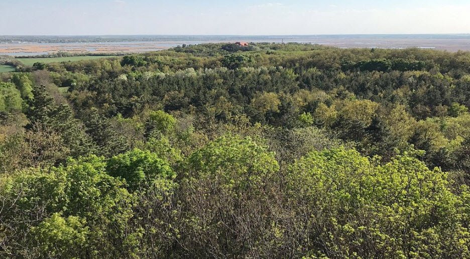 Pákozdi Pagony Vadaspark és Arborétum, Hungary